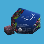 Wyld | Elderberry | 100mg
