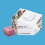 Wyld | Huckleberry | 100mg