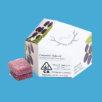 Wyld | Marionberry | 100mg